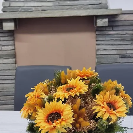 Sunflower 도마소